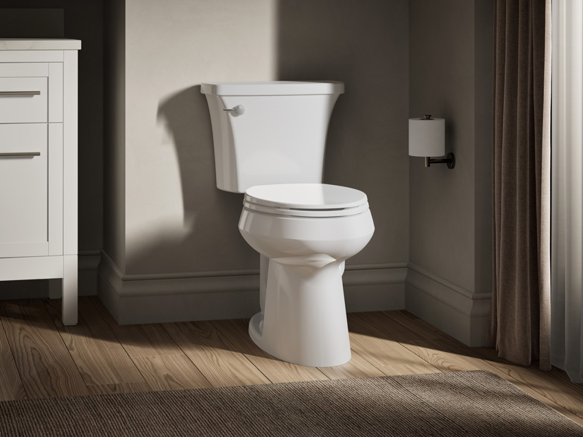 15 in - Dual Flush: 1.0/1.28 - Toilets - The Home Depot