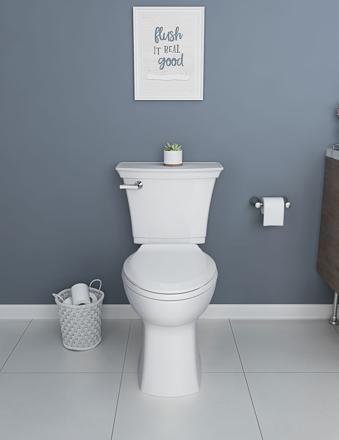 https://cdn.revjet.com/s3/csp/3493/1698257609597/Rumson-Toilet---719AA101.020---Lifestyle-(1).jpg